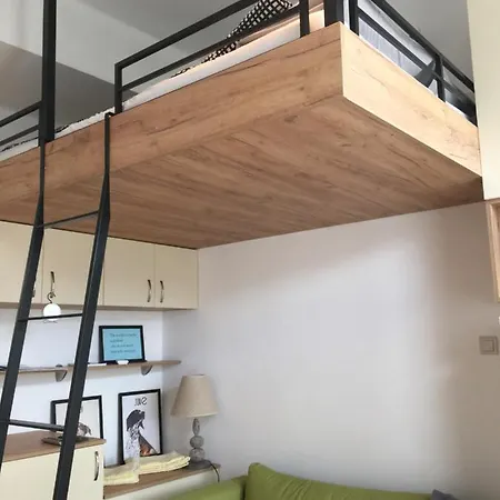 Campbell's Daire Sofya